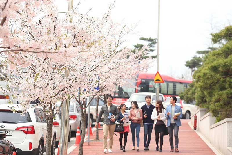 Cơ hội việc làm trong ngành giải trí hiện nay đang vô cùng rộng mở