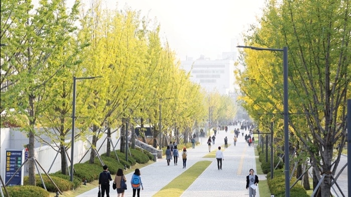 đại học đẹp nhất hàn quốc