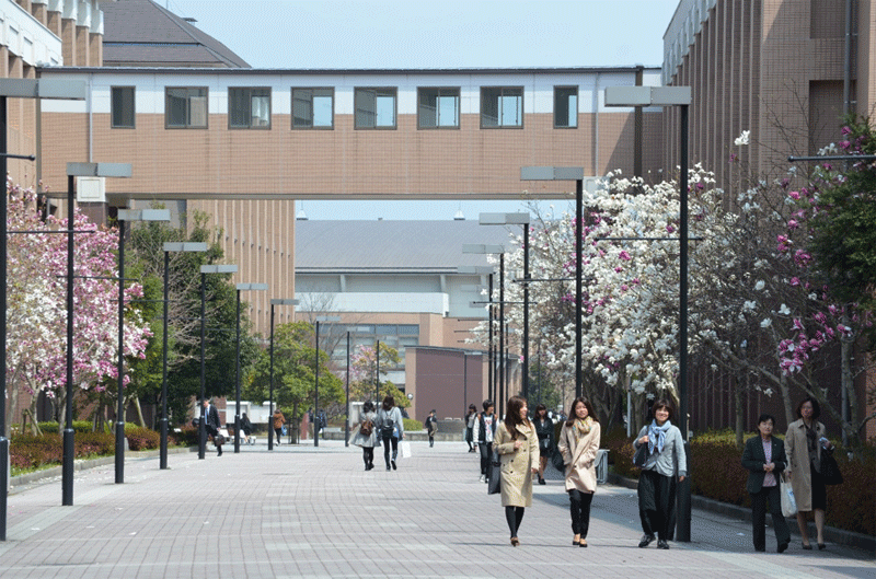 Đại học thái bình dương Nhật Bản có hai khoa
