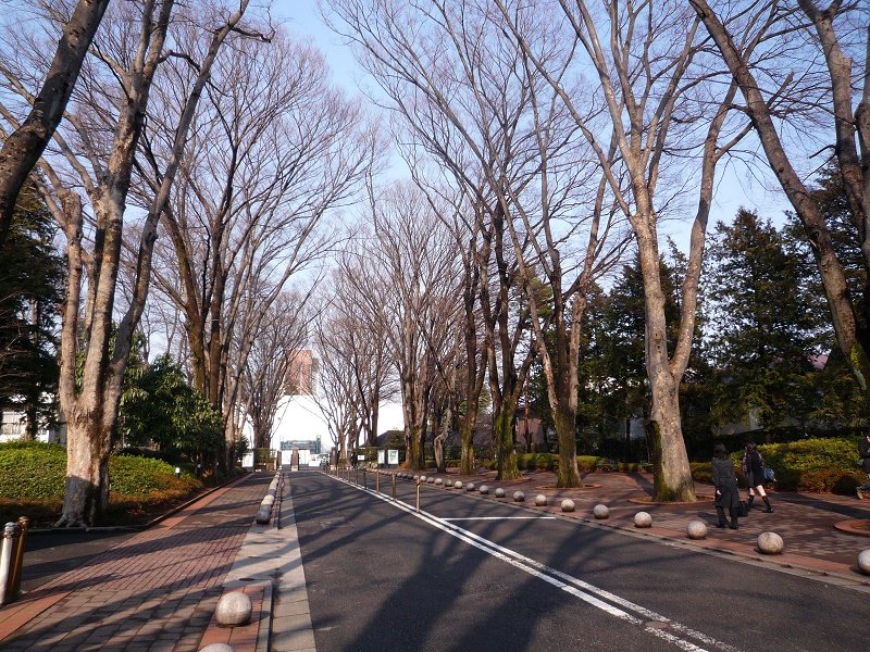 Quang cảnh trường đại học Seikei vô cùng đẹp mắt