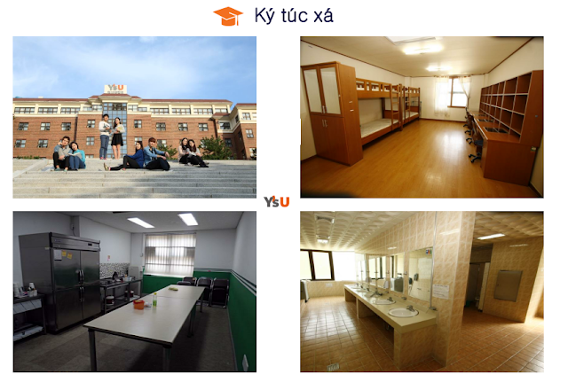 Ký túc xá Đại học Youngsan Hàn Quốc