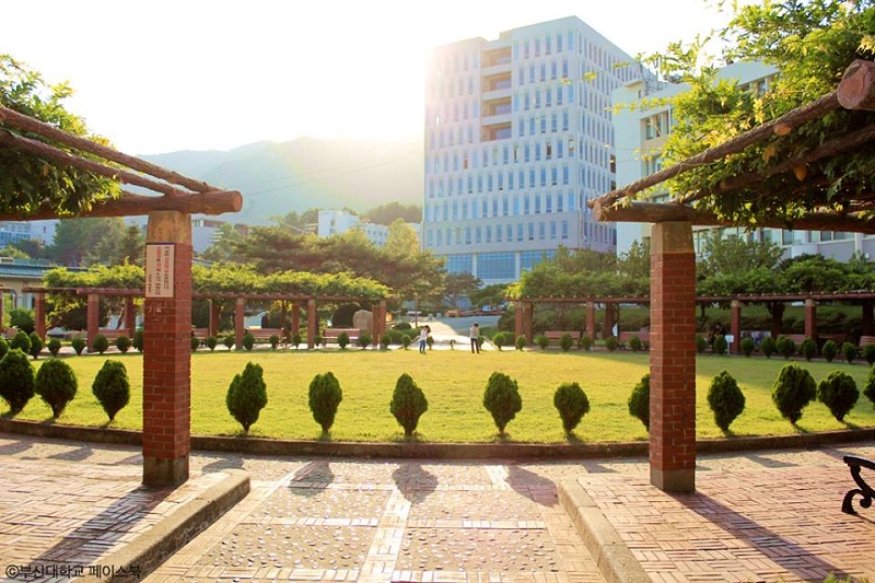 Đại học Busan Hàn Quốc đào tạo nhiều ngành học