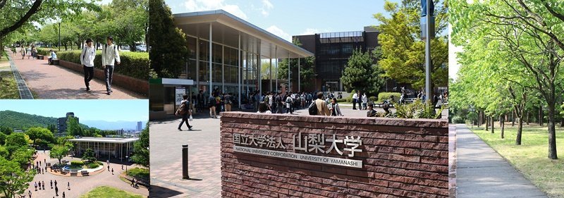 Du học đại học Yamanashi Nhật Bản