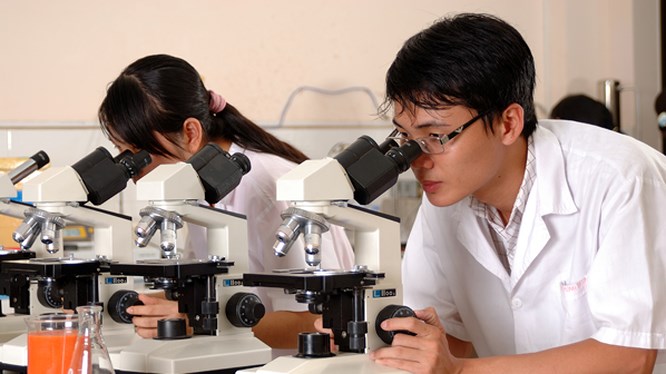 Nghiên cứu khoa học giúp điều kiện xin học bổng du học Hàn Quốc dễ dàng hơn