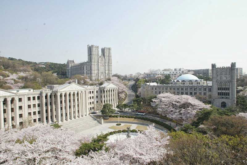 Hàn Quốc có rất nhiều trường đại học uy tín đào tạo ngành Marketing
