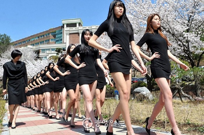 Du học Hàn Quốc ngành người mẫu