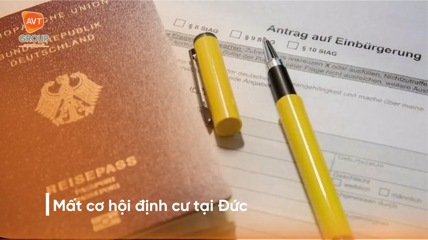 Nỗ Lực, Chăm Chỉ và Chủ Động: Kim Chỉ Nam Sống Còn Để Tồn Tại Ở Đức 4 no-luc
